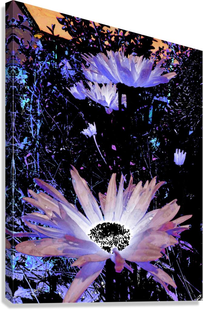 Cool Rocking Surreal Daises  Canvas Print
