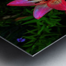 Vibrant Lilies  Metal print