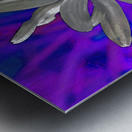  Abstract Colourful Daisy Flower  Metal print