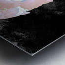 Abstract Ethereal Rose on a Dark Abstract Background  Metal print