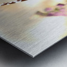 Two Butterflies on Buddleia Flowers Metal print