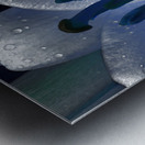 Abstract Dew Drop Lily Metal print