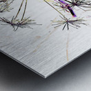 Angelica in the Morning  Metal print