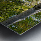 Autumns Sunlight in the Scottish Highlands Metal print