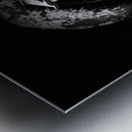 Scenes from the Trail- Disintegration Metal print