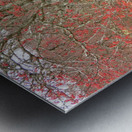 Scottish Highlands Rowan Tree   Metal print