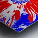 Red White and Blue Daisy on a Navy Abstract Background Metal print