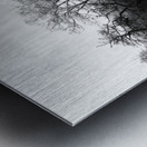 Frosty Morning in the Scottish Highlands Metal print