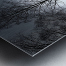  Scenes from the Trail- Tree Metal print