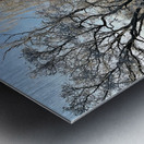 Winters Frosty Nature in the Scottish Highlands  Metal print