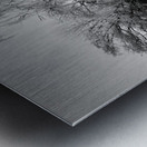  Black and White Winter Beauty in the Scottish Highlands Metal print