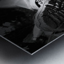 Scenes from the Trail- Resting Too Metal print