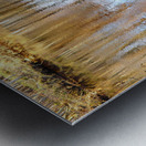 River Speys Spring Reflections                                                                                                                  Metal print