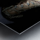 Scenes from the Trail- Muddy Boots Metal print