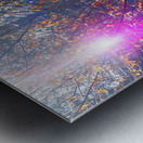 Scottish Highlands Visitation                                                                                                           Metal print