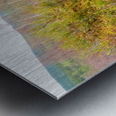 Spring Nature Trail Through The Scottish Highlands                                                                                                                    Metal print