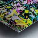 Colourful Old Bodach of Albany Metal print