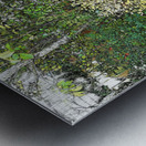 In The Garden                                                                                                                      Metal print