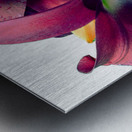 Rich Summer Lily Flowers Metal print