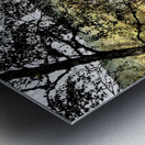 Loch Vaa Autumnal View                                                                                                                      Metal print