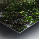 Scottish Highlands Sun Kissed Nature Trail                                                                                                                      Metal print