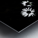  Monochrome Night Blooms                                                                                                                     Metal print