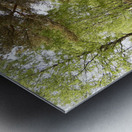 Fairy Tale Lands of the Scottish Highlands. Metal print