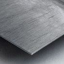  Birch Forest Reflections in High Glossy Monochrome Metal print