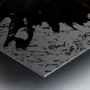 Dark Daisy with White Centre on a Grey Abstract Background Metal print