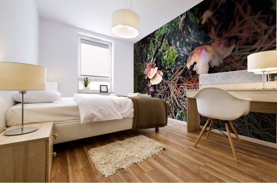 Scenes from the Trail- Forest Mushrooms  Mural print
