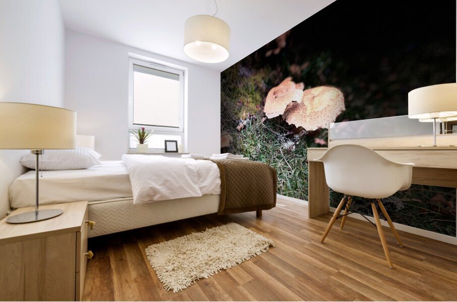 Scenes from the Trail- Forest Mushrooms Mural print