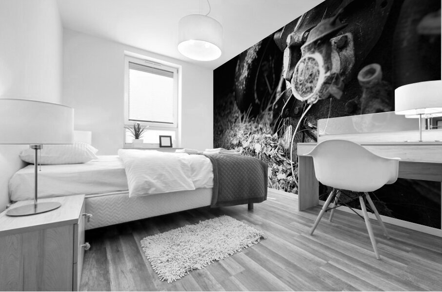 Scenes from the Trail- Disintegration Mural print