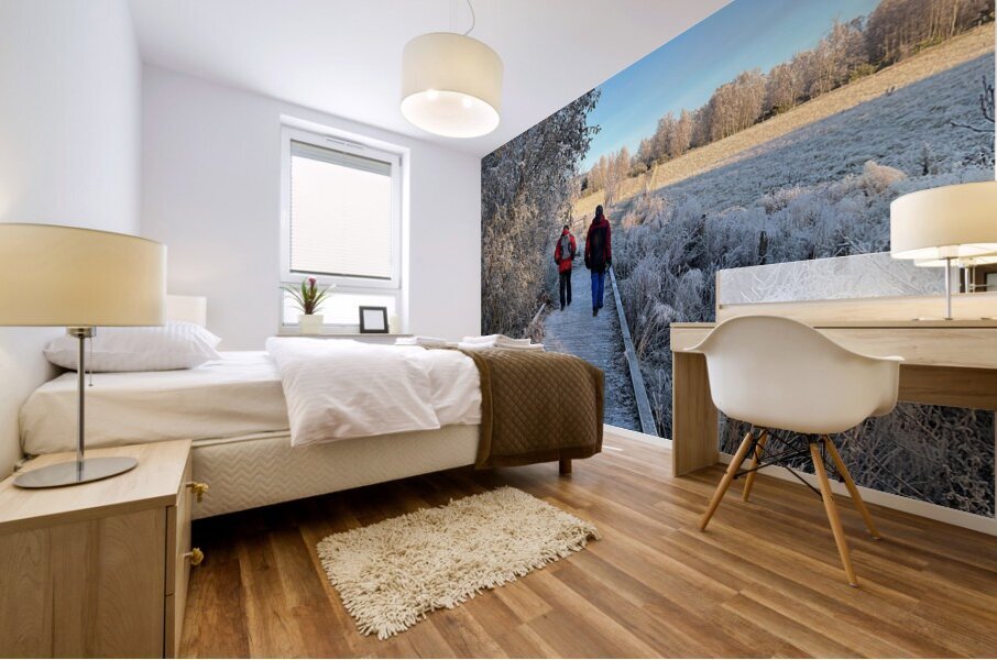 Frosty Nature Path Through the Scottish Highlands Mural print