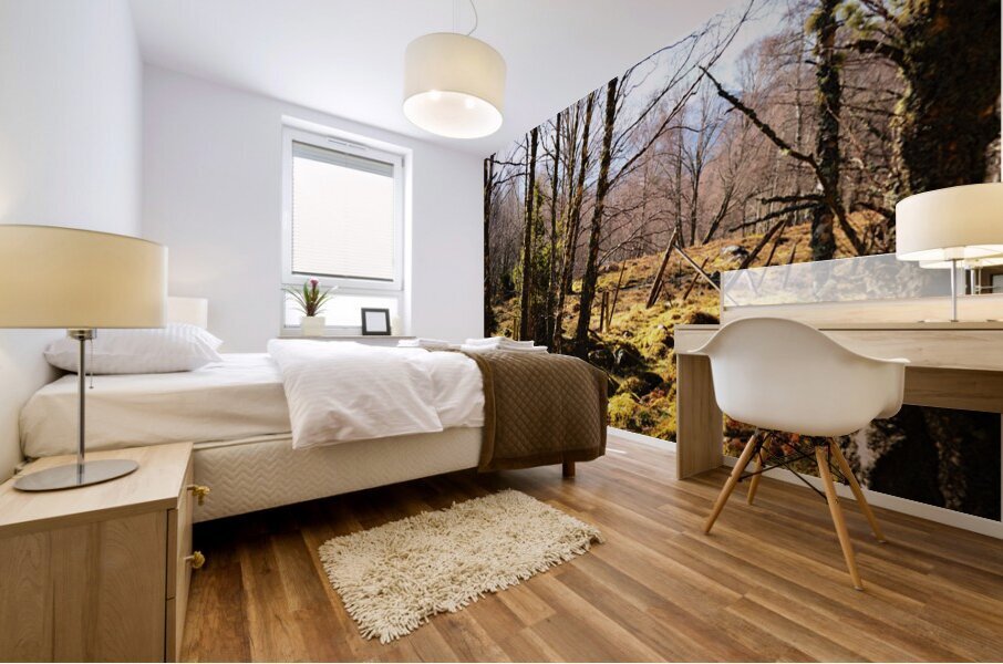 Spring Joy in the Forest                                                                                                                      Mural print