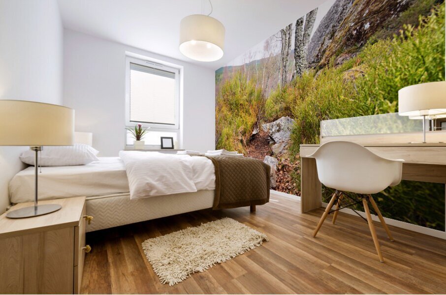 Spring Nature Trail Through The Scottish Highlands                                                                                                                    Mural print