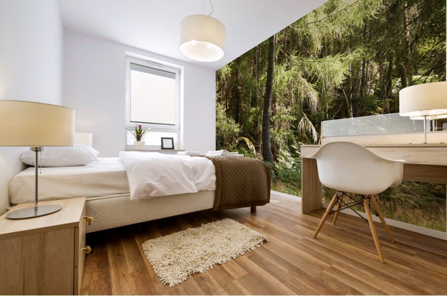 Scottish Highlands Summer Ferns in the Forest Mural print