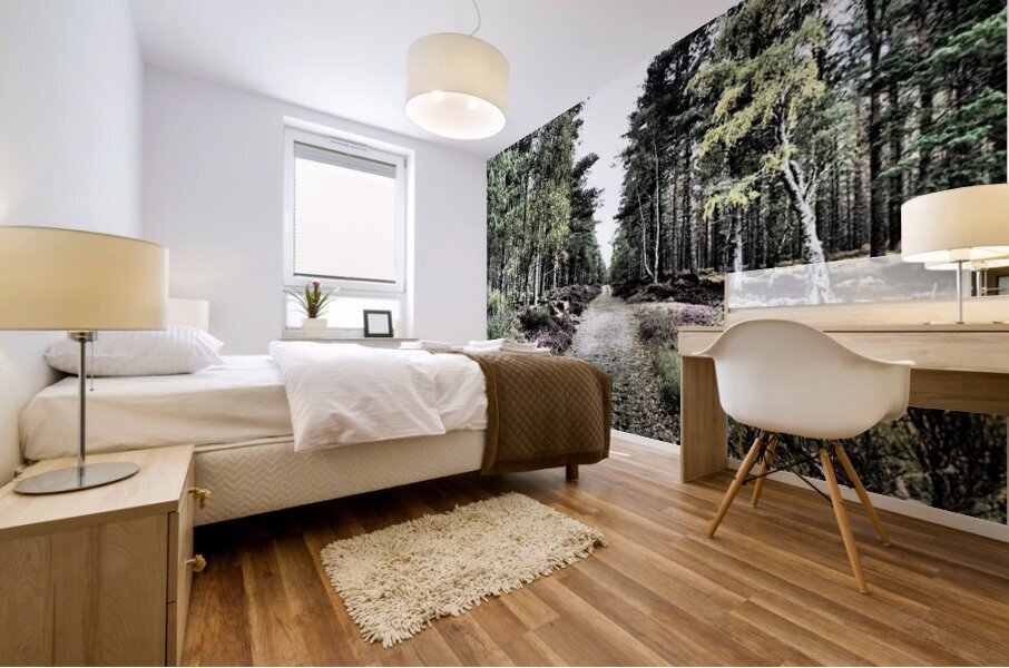 Scottish Highlands Serene  Birch Woodland Trail                                                                                                Mural print