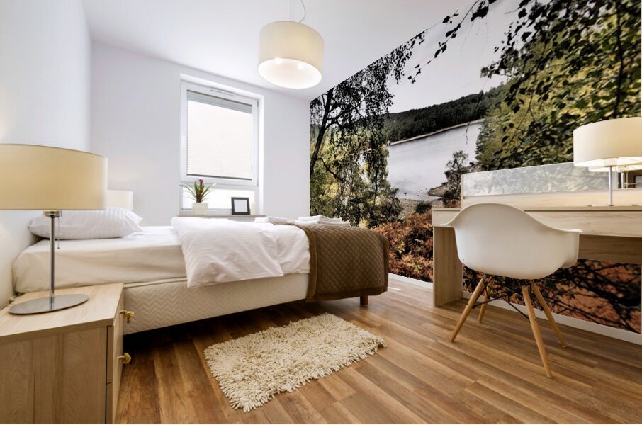 Loch Vaa Autumnal View                                                                                                                      Mural print