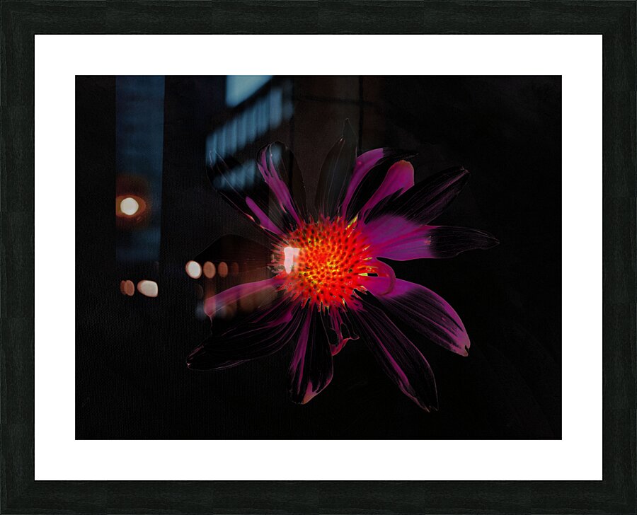 Abstract Single Glowing Cone Flower Picture Frame print