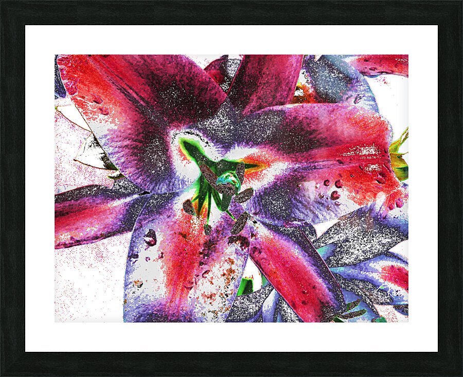 Abstract Colourful Lilies Picture Frame print