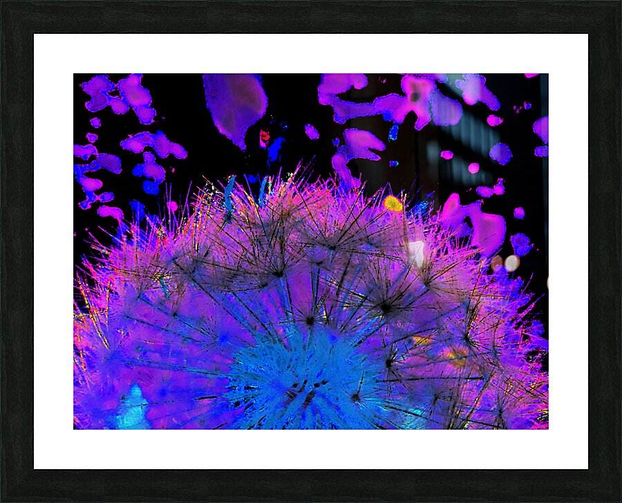 Abstract Neon Dandelion Seeds Close Up Picture Frame print