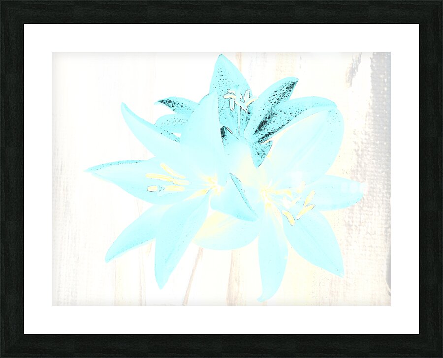 Abstract  Distressed Trio of Lime Lilies Picture Frame print