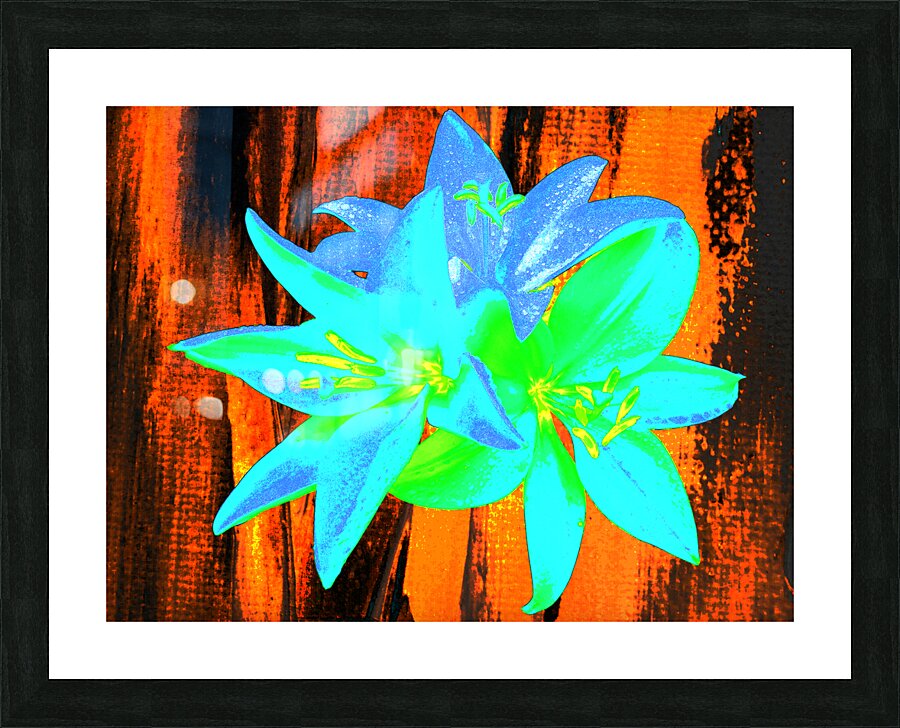Abstract Vibrant Neon  Trio of Lilies Picture Frame print