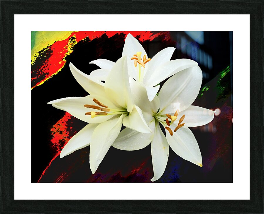  Abstract Trio of White Lilies on a Coloured Distressed Background Picture Frame print