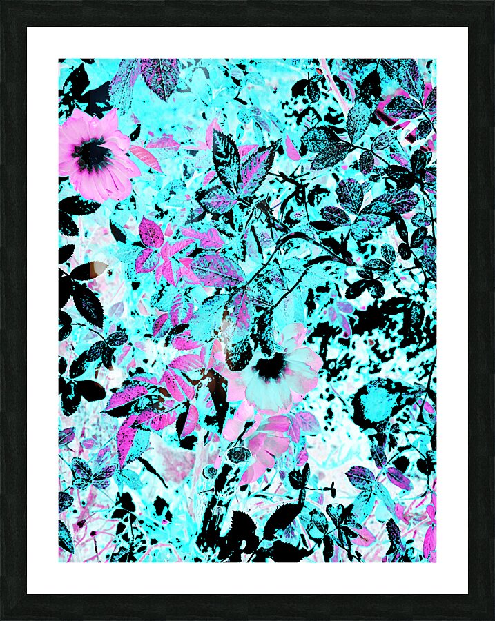 Cyan and Pink Scottish Highlands Garden Picture Frame print