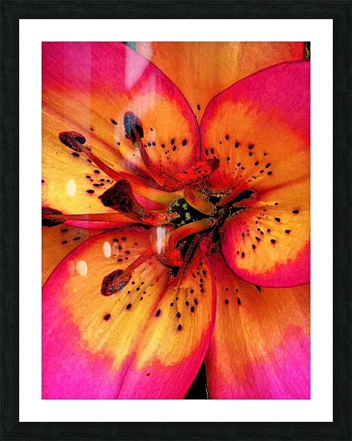 Abstract Close Up Lily Flower Picture Frame print