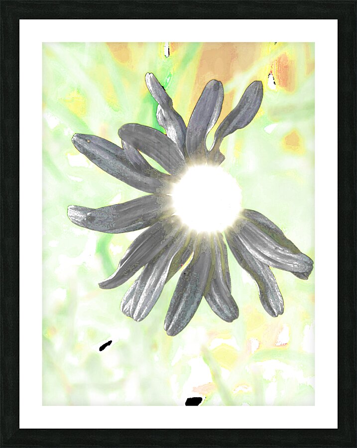  Abstract Daisy Sunbeam Picture Frame print