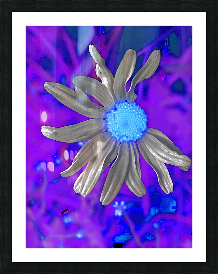  Abstract Colourful Daisy Flower  Picture Frame print