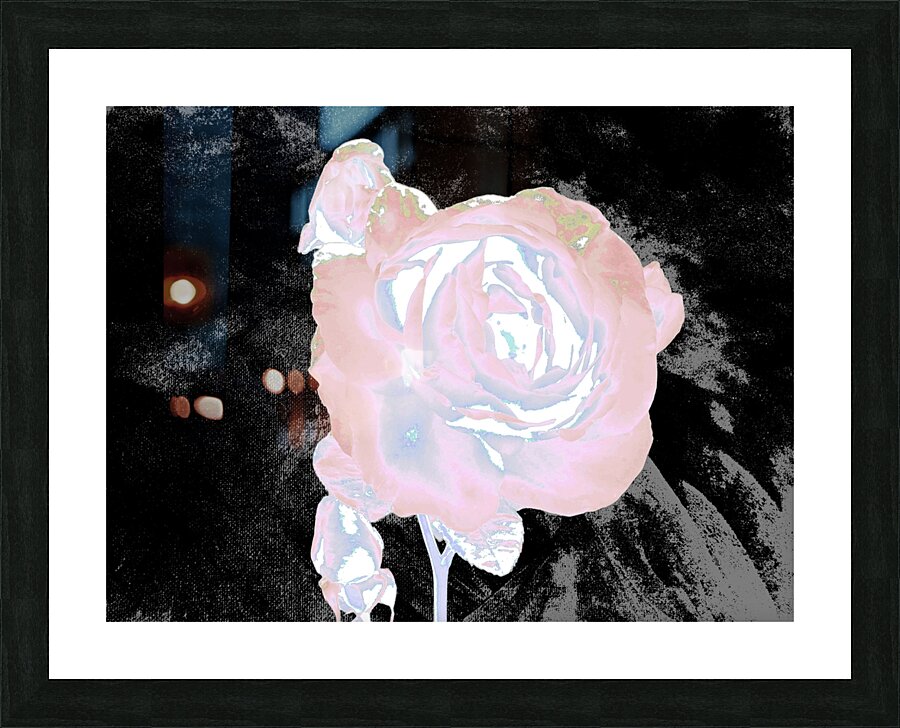 Abstract Ethereal Rose on a Dark Abstract Background  Picture Frame print