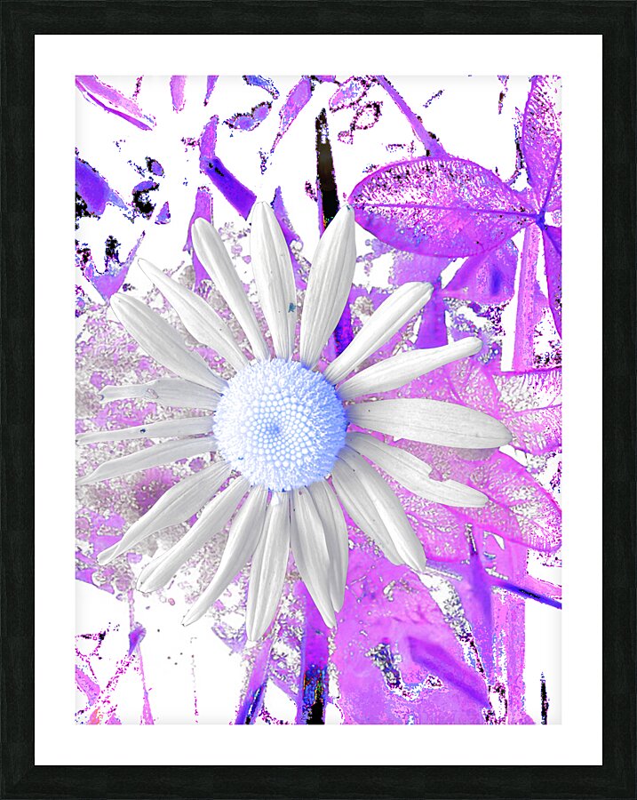 Cool Vivid Abstract Daisy Picture Frame print
